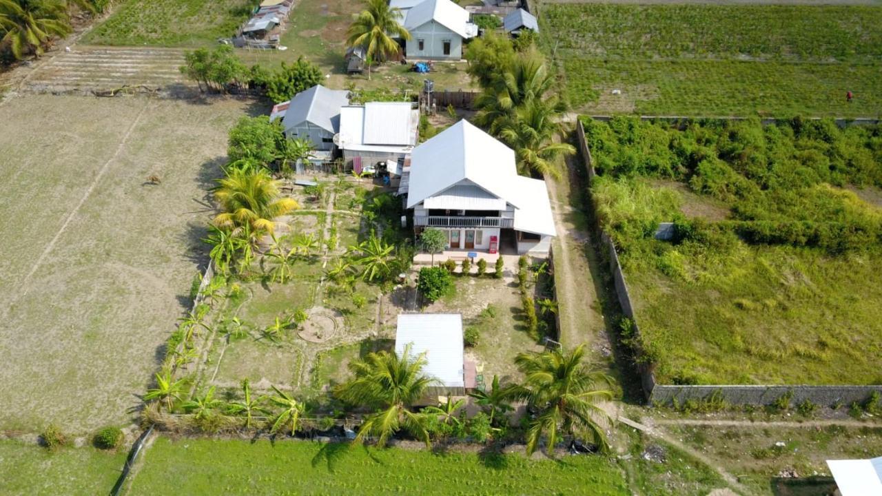 The Daun Puntik Homestay Pemenang 外观 照片