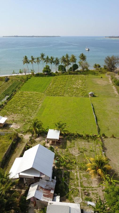 The Daun Puntik Homestay Pemenang 外观 照片