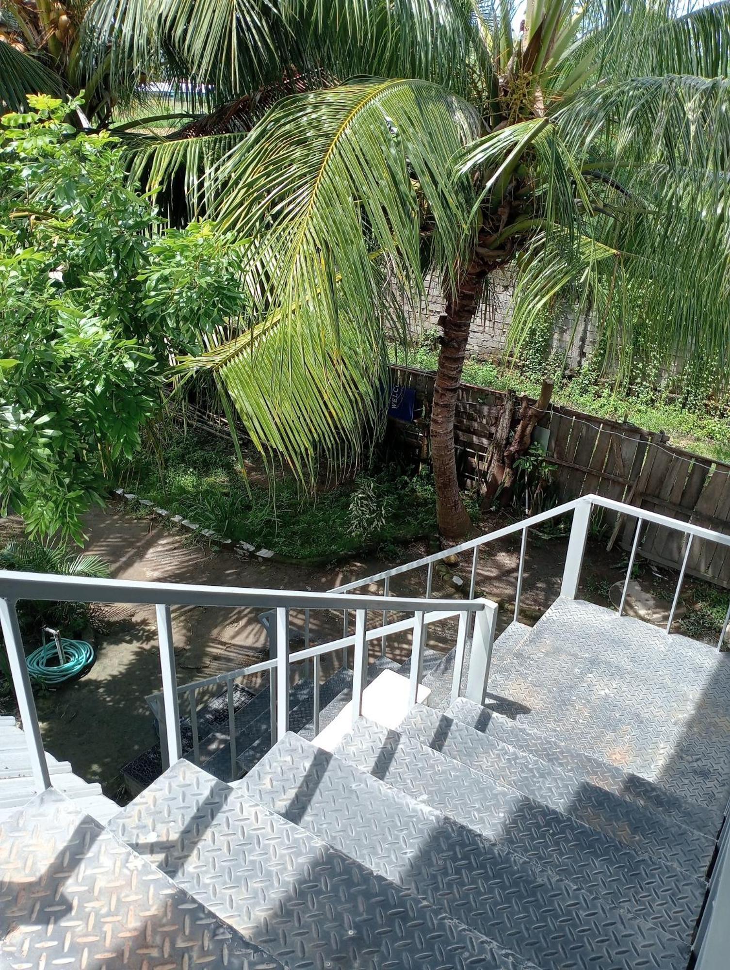 The Daun Puntik Homestay Pemenang 外观 照片