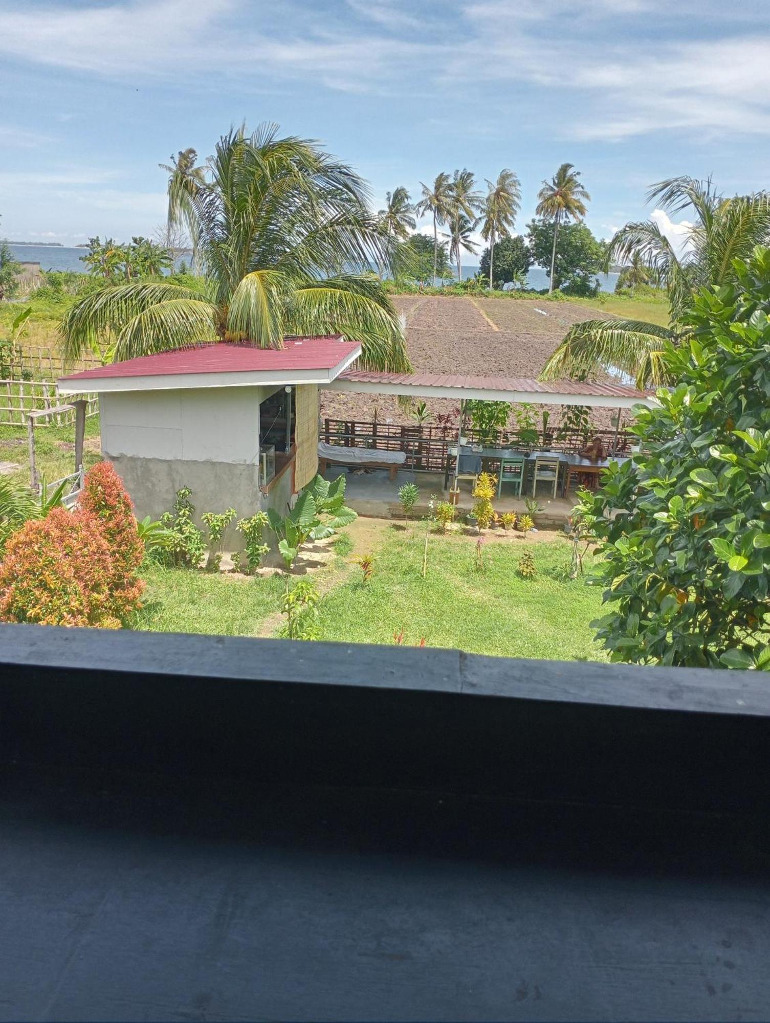 The Daun Puntik Homestay Pemenang 外观 照片