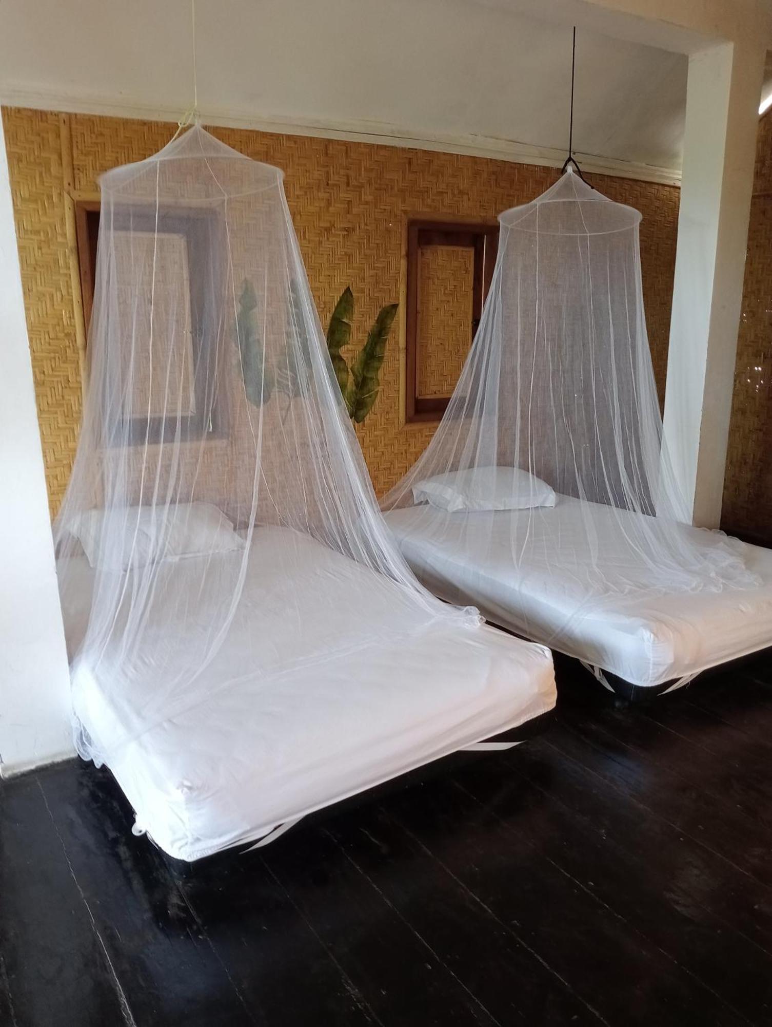 The Daun Puntik Homestay Pemenang 外观 照片