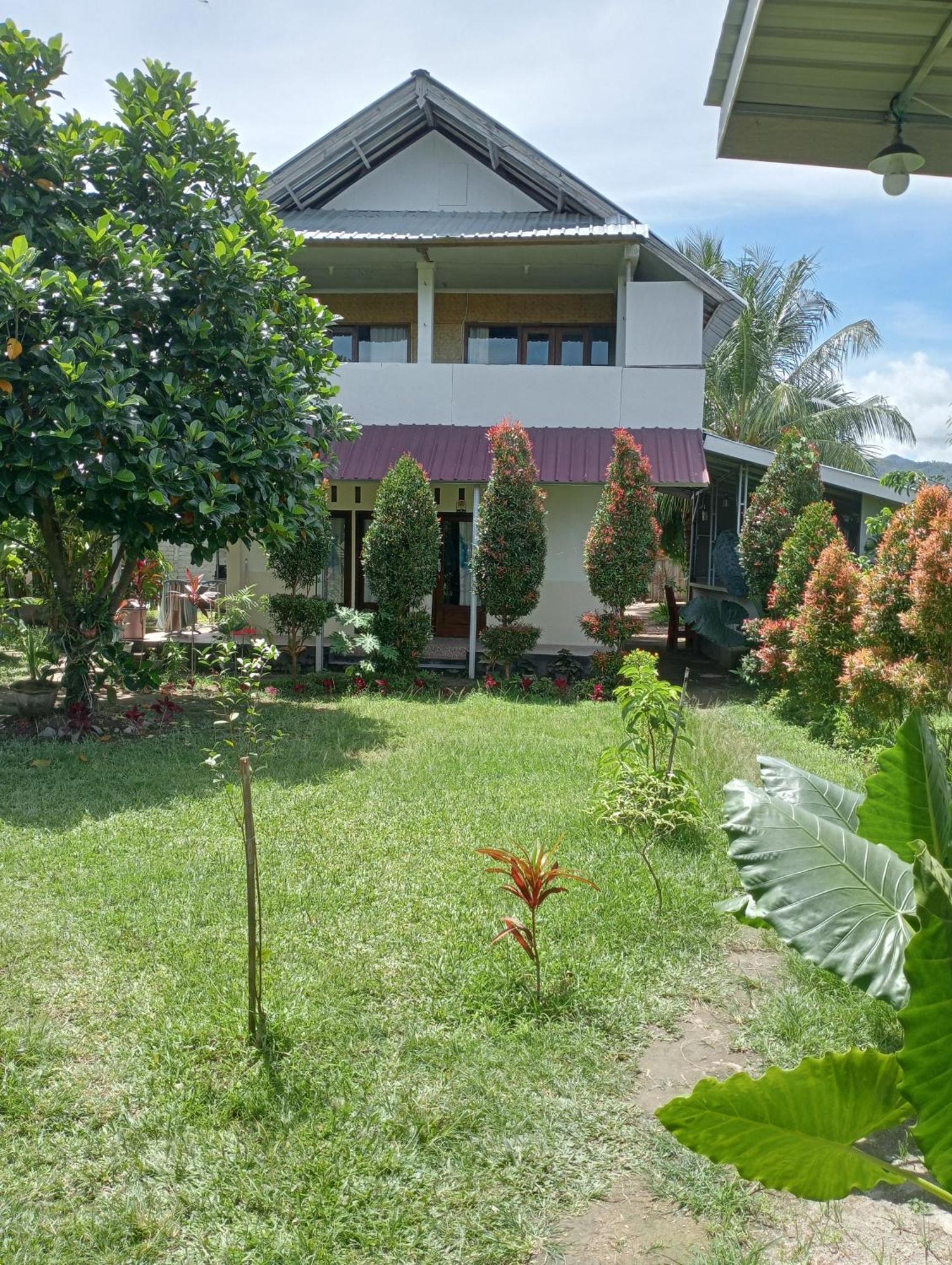 The Daun Puntik Homestay Pemenang 外观 照片
