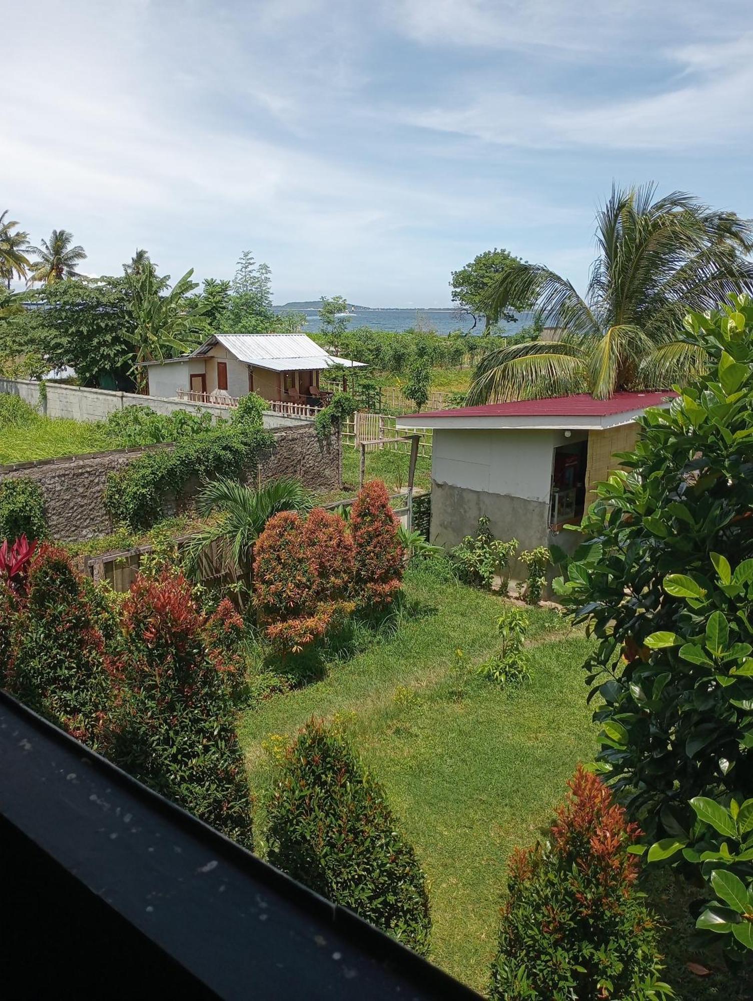 The Daun Puntik Homestay Pemenang 外观 照片
